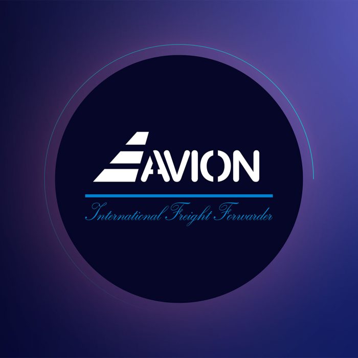 Avion International PPT Slide Deck